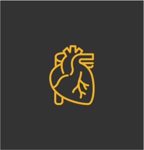 Heart icon 