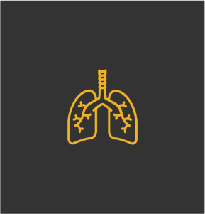 Lung icon