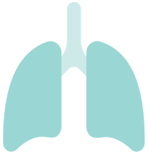 Lung icon