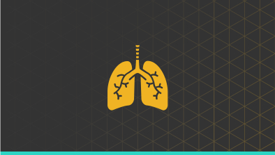 Lung icon