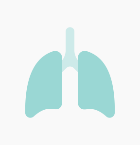 Lung icon