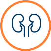 KIDNEY ICON