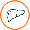 LIVER ICON