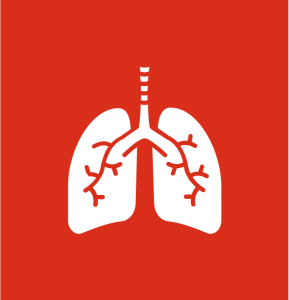 Lung icon